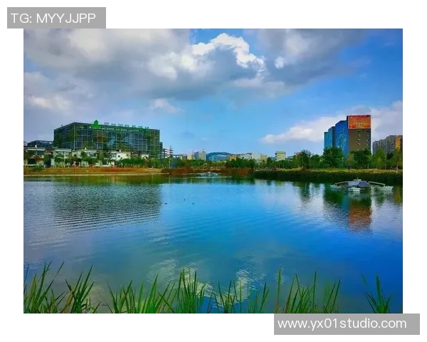 劳塔罗：积极承担社会责任，推动环境保护工作落地实施